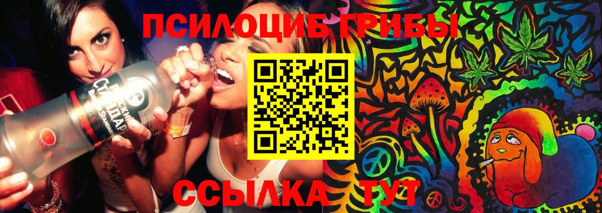 Псилоцибиновые грибы Psilocybe Дзержинск