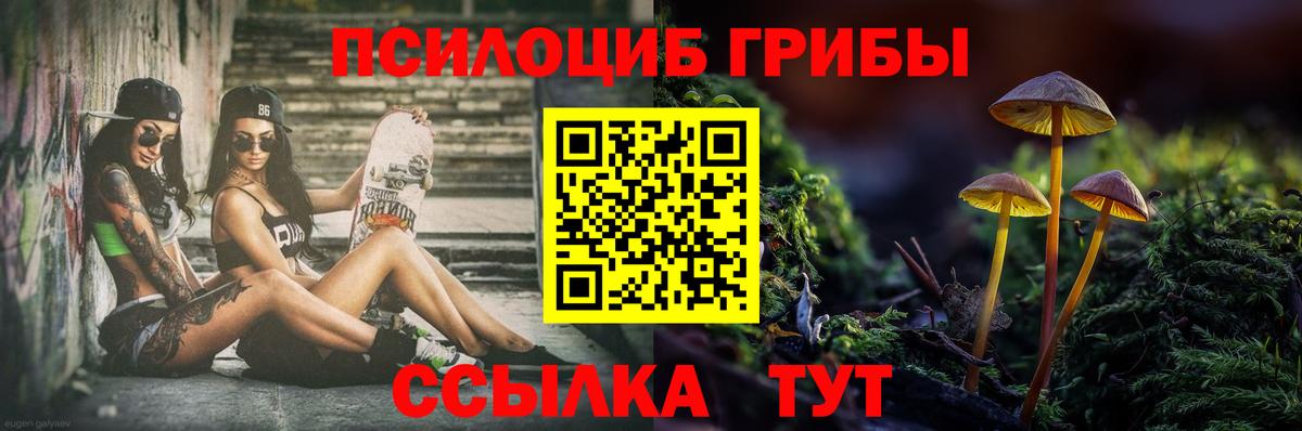 Дзержинск  Псилоцибиновые грибы прущие грибы  Вход с VPN 
